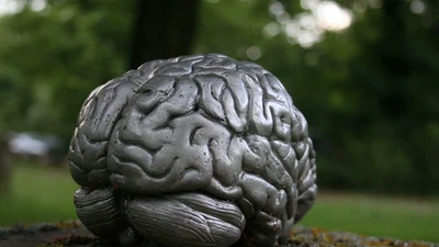 AffectAI - Dynamic Affective Profile Modeling and Profile-Based Multimodal Emotion Recognition and MMLLM Integration for Hybrid Meetings featured image