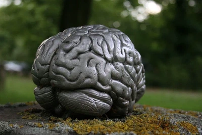 AffectAI - Dynamic Affective Profile Modeling and Profile-Based Multimodal Emotion Recognition and MMLLM Integration for Hybrid Meetings featured image